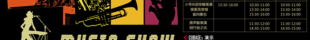 YAMAHA閃亮登場2009 Music China 