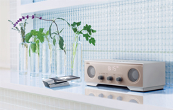 新款上市：TSX-W80桌面音頻系統 