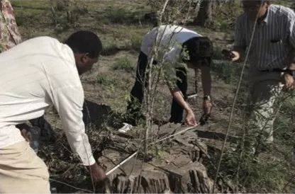 這才是真相：綠色關愛，雅馬哈的環境政策