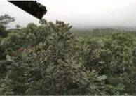 這才是真相：綠色關愛，雅馬哈的環境政策