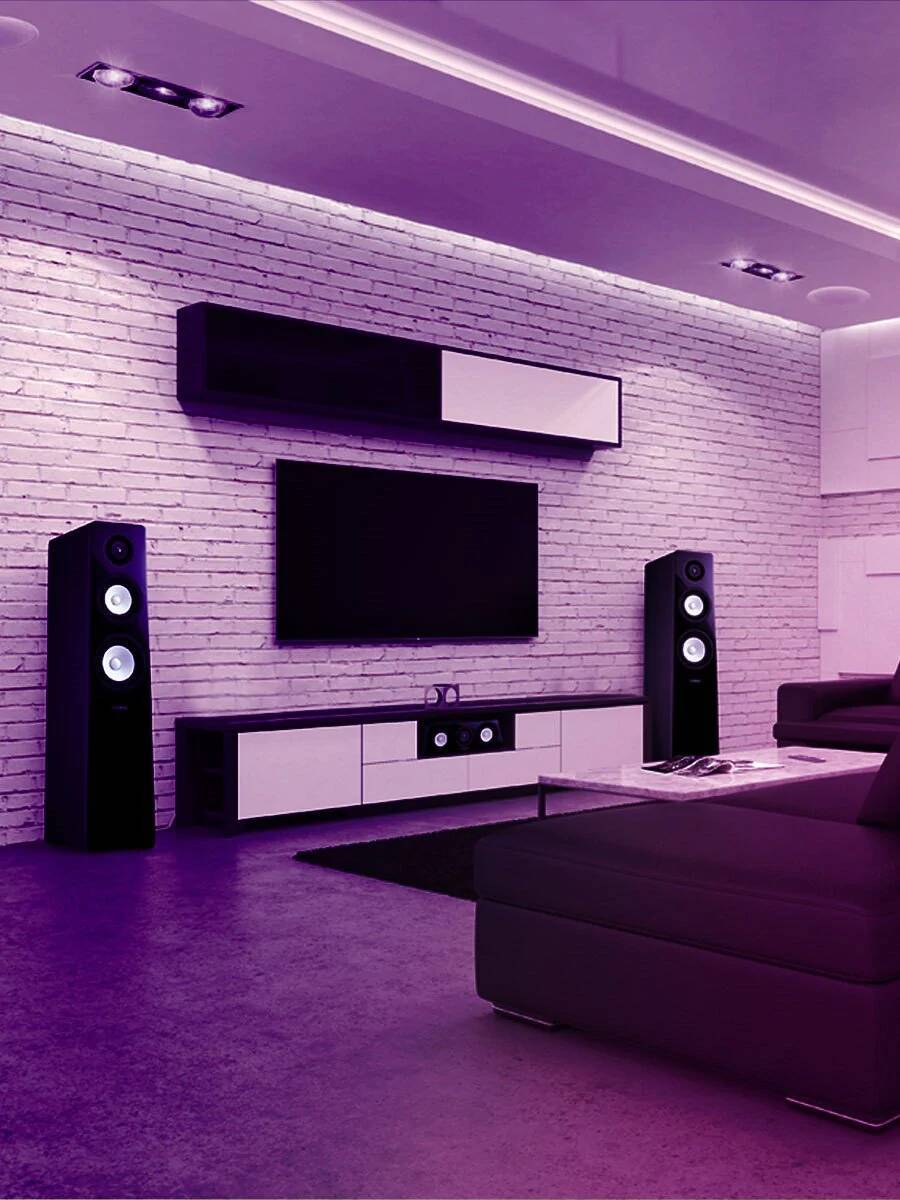 家中娛樂的指揮官