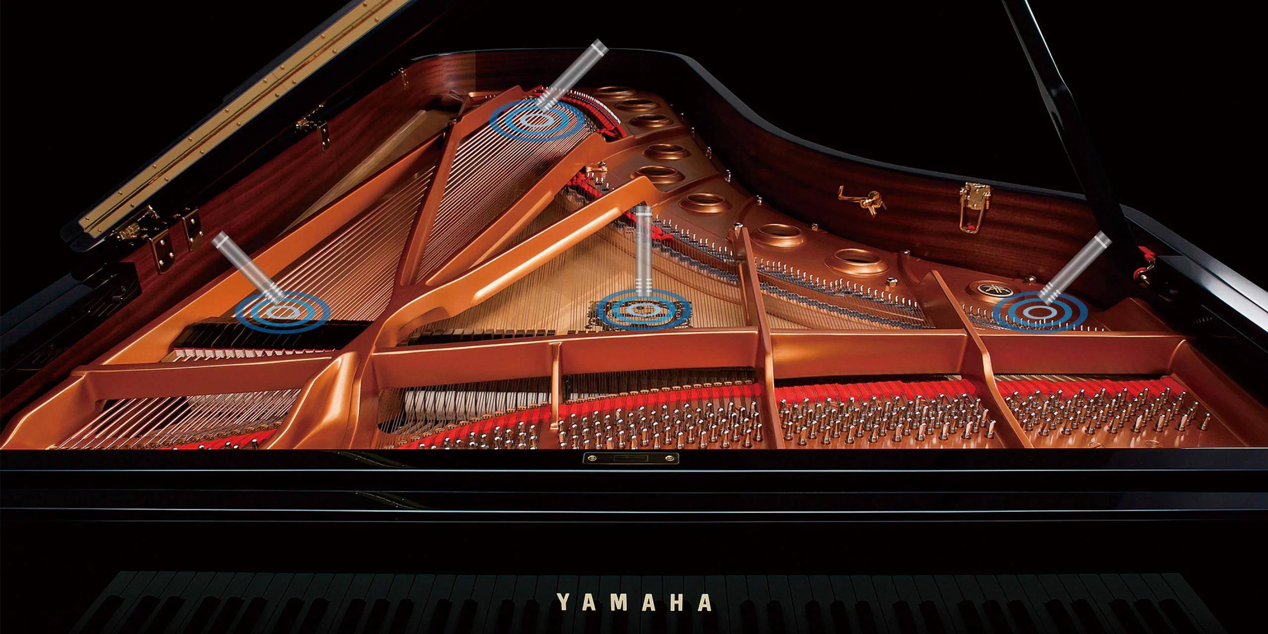 Photo The innovative quad-speaker system syncs with the sampling process to produce remarkable, multi-dimension tonality