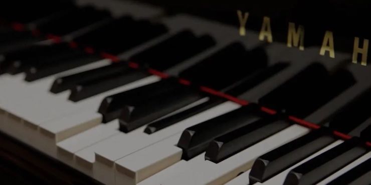 疫情下的新探索|中美高校國際遠程大師班圓滿結束！